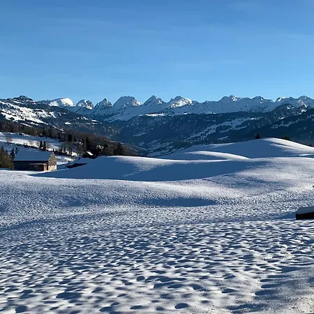 Historic Swiss Room Mit Garten