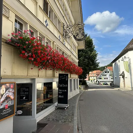 Historic Swiss Room Mit Garten منزل للإقامة