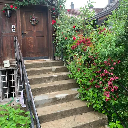 Historic Swiss Room Mit Garten *