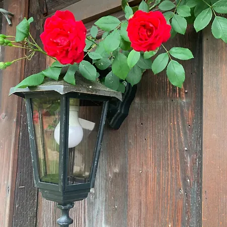 Historic Swiss In Rosalie Brunnadern