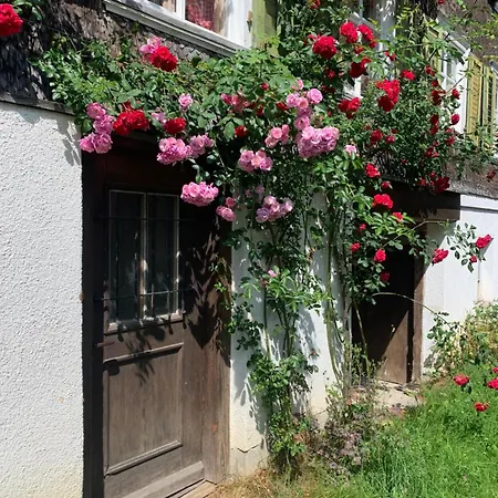 Historic Swiss Room Mit Garten منزل للإقامة