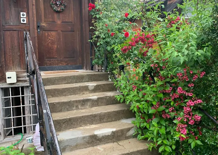 Historic Swiss In Rosalie *