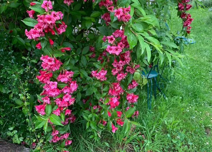 منزل للإقامة Historic Swiss In Rosalie *