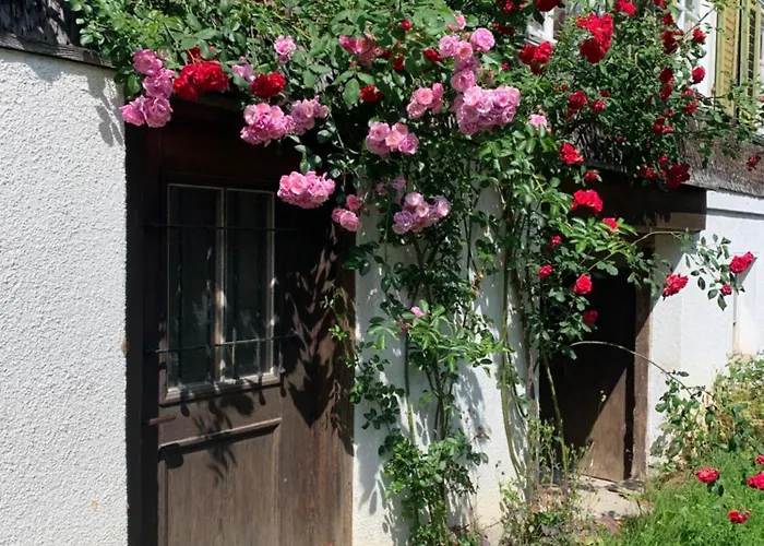 Historic Swiss In Rosalie Kwatera prywatna